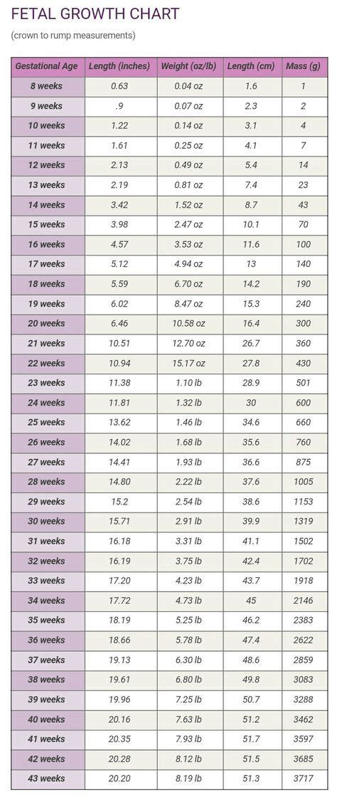 Foetal Weight Percentile Chart