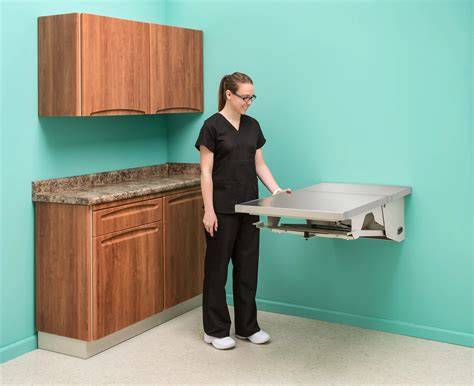 Fold Down Veterinary Exam Table