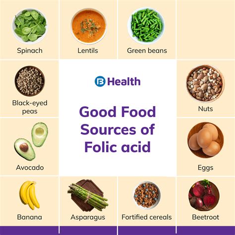 Folic Acid & Pregnancy: Protect Your Baby’s Health.