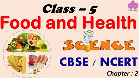5th Grade Nutrition Workbooks for Students or Children