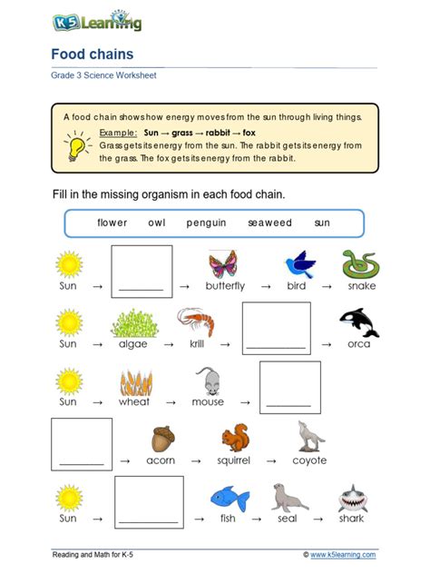 Food Chain Worksheet Ks2