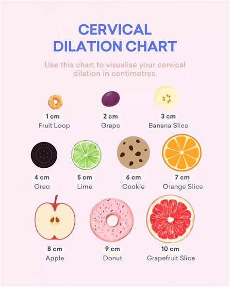 Food Dilation Chart