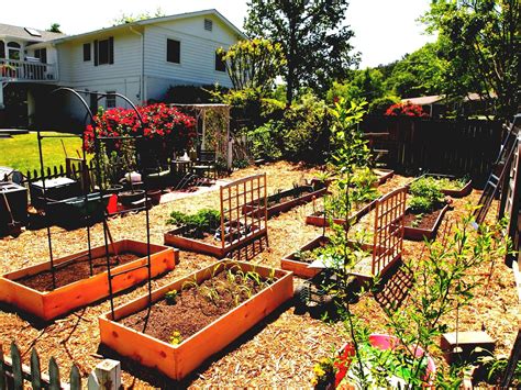 Food Plot Design Ideas