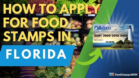 Surviving on Empty: Login to Food Stamp Florida and Feed Your Family Today