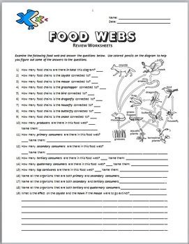 Food Webs - Review Worksheet Editable by Tangstar Science | TpT