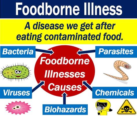 Foodborne Meaning