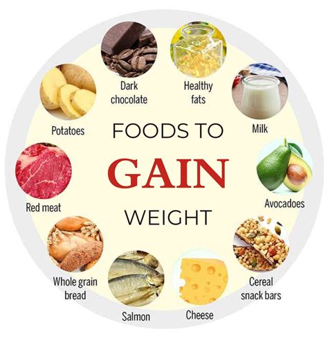 Foods To Gain Healthy Weight