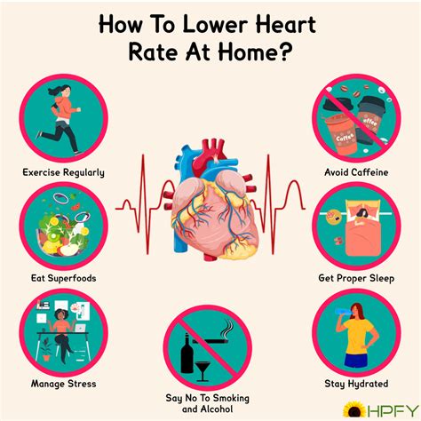 Foods For Lower Heart Rate