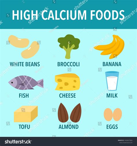 Strengthen Your Bones and Pave the Path to a Healthy Life with These Delicious Foods High in Calcium!