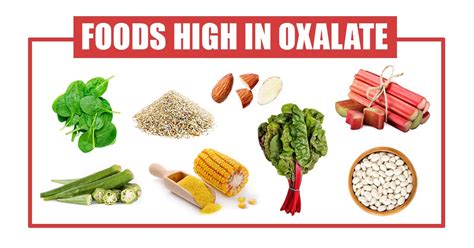 Understanding the Hidden Culprits: High Oxalate Foods that Sabotage your Health
