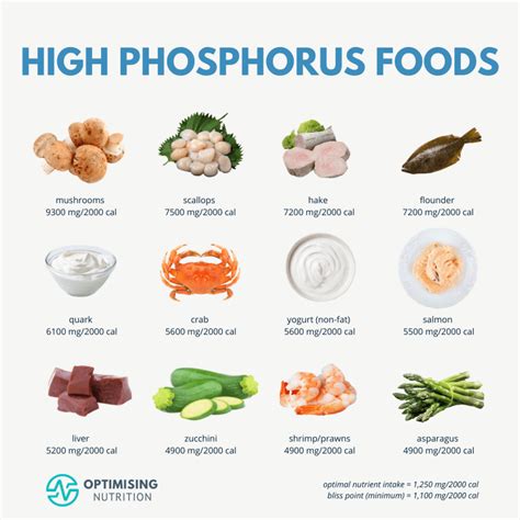 Boost Your Energy Levels and Optimize Your Health with These Nourishing Foods High in Phosphate