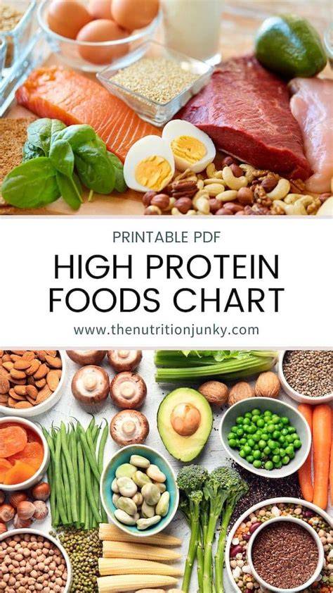 Foods High In Protein Chart