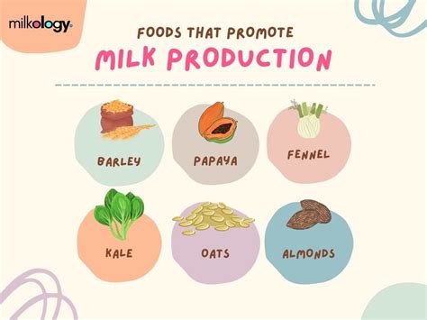 Nourishing You and Your Baby: Discovering the Power of Milk-Boosting Foods