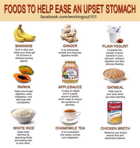Instant Relief: Soothing Foods to Calm Your Agitated Stomach