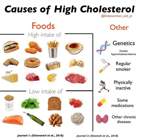 Breaking the Chains of Unhealthy Habits: Ditching the Foods with High Cholesterol for a Healthier You
