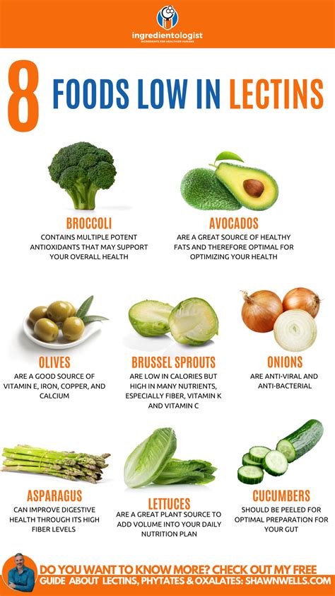 Foods With Lectins Chart