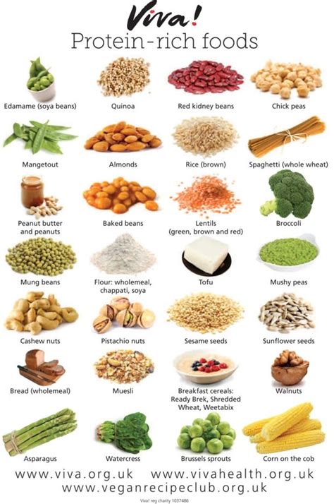 Fuel Your Body with Nourishing Protein: A Mouth-Watering List of Must-Have Foods