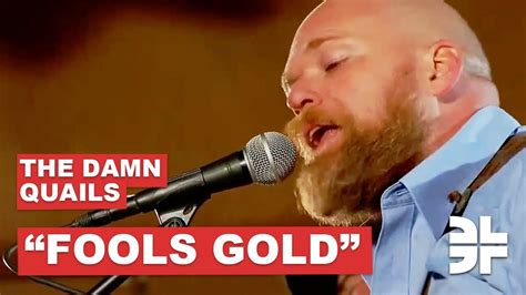 Fools Gold The Damn Quails