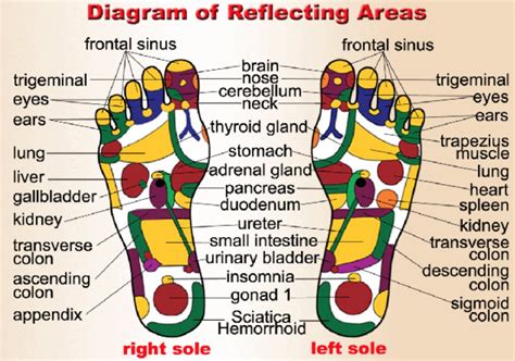 Foot Chart Chinese Medicine