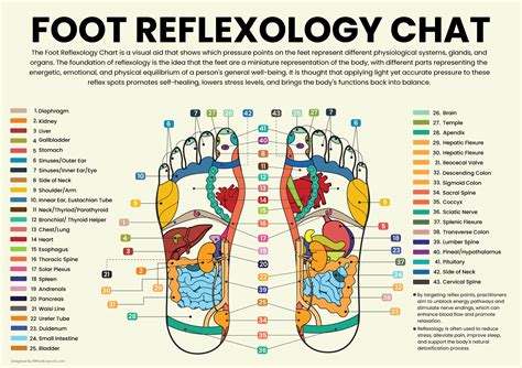 Foot Chart For Reflexology
