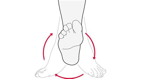 Foot Circles