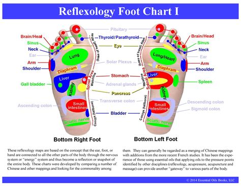 Foot Reflex Chart Images