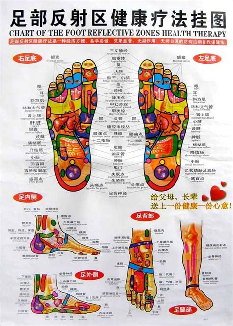 Foot Reflexology Chart In Chinese