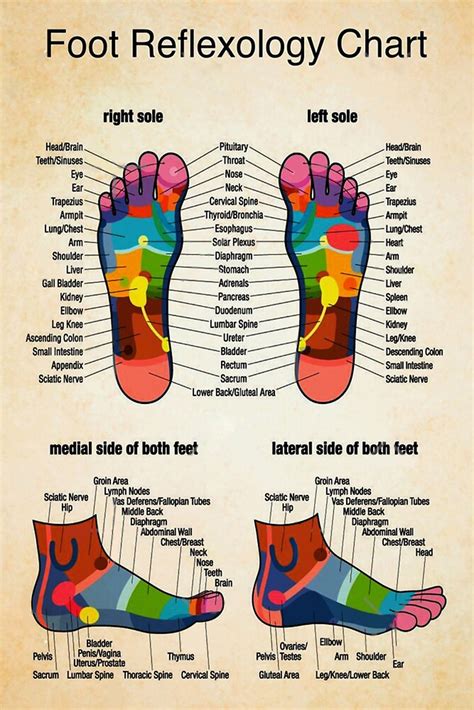 Foot Reflexology Chart Male
