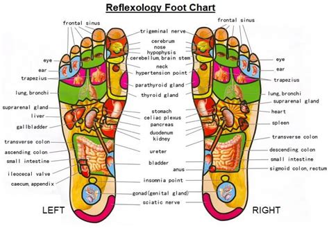 Foot Reflexology Pain Chart