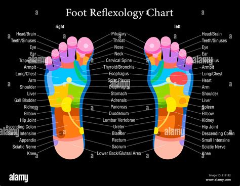 Foot To Body Chart