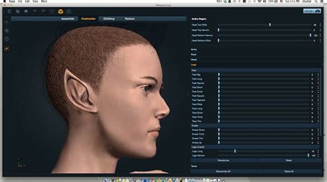 For Advanced Artists: Features and Customization