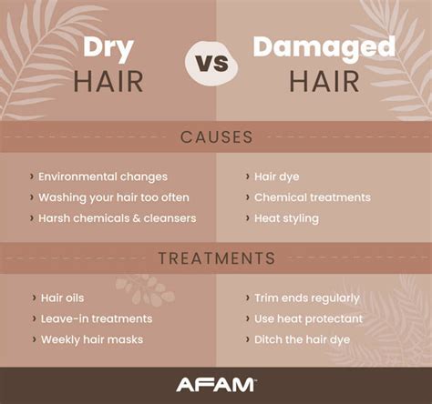 For Dry and Damaged Hair