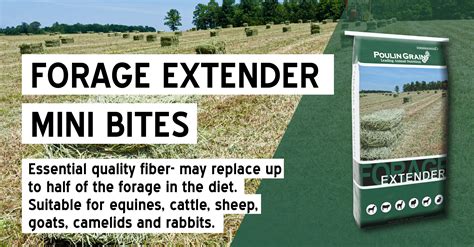 Forage Extender