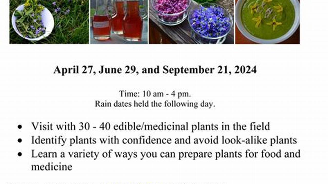 Foraging Classes Massachusetts 2024