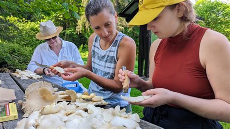 Foraging Classes Seattle