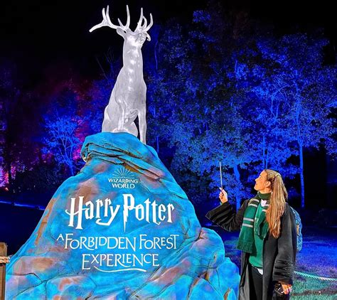 Forbidden Forest Harry Potter