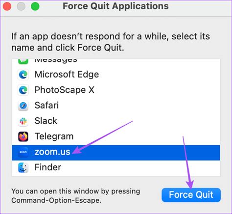 Force Quit The Zoom app