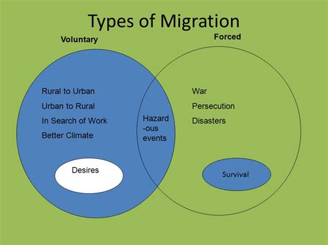 Exploring the Complexities of Forced Migration: A Definitive Guide for AP Human Geography