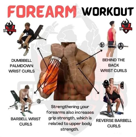 Forearms Exercise