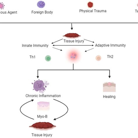 Foreign Body and Physical Trauma