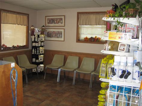 Expert Veterinary Care at Forest Animal Hospital in Forest, MS - Trustworthy Services for Your Furry Friends!
