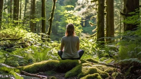 Forest Bathing Experience