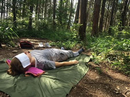 Forest Bathing Trip Tips
