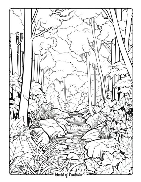 Forest Coloring Page