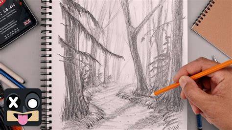 Forest Drawing Competition Tips