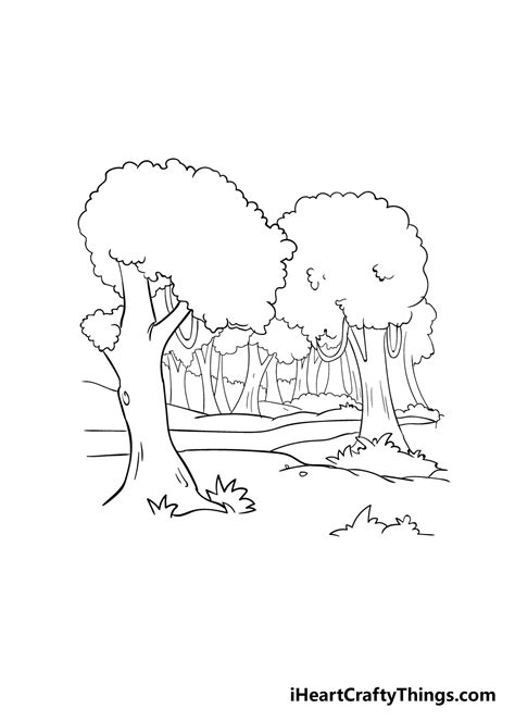 Forest Drawing Reference