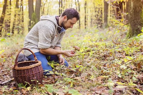 Forest Foraging Experience