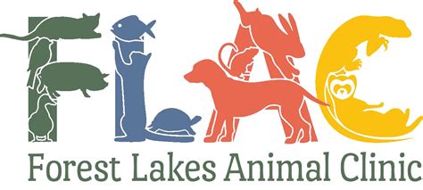 Expert Veterinary Care for Your Beloved Pets at Forest Lake Animal Clinic Sarasota FL