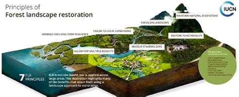 Forest Landscape Restoration Act