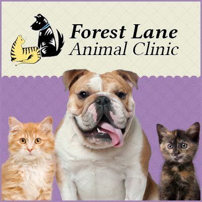 Forest Lane Animal Clinic – Quality Pet Care Services for Your Furry Friends